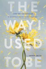 The Way I Used to Be (Defekt) - Amber Smith