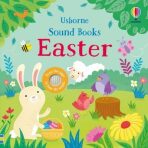 Easter Sound Book (Defekt) - Sam Taplin