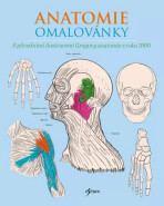 Anatomie omalovánky - Henry Gray,Henry Carter