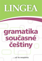 Gramatika současné češtiny (Defekt) - 