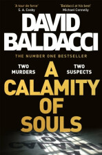 A Calamity of Souls - David Baldacci