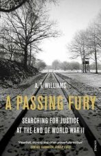 A Passing Fury (Defekt) - Williams A. T.