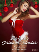 An Erotic Christmas Calendar: A Collection of Short Stories - LUST authors