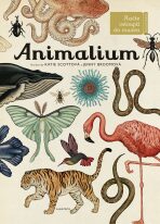 Animalium - Katie Scott,Jenny Broomová