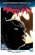 Batman 01: Já jsem Gotham V4 - David Finch,Tom King