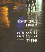 Během chůze Brnem - Daniel Petr,Pavel Šešulka