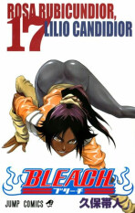 Bleach 17 - Tite Kubo