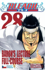 Bleach 28 - Tite Kubo