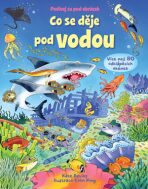 Co se děje pod vodou - Podívej se pod obrázek - Colin King,Kate Daviesová