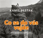 Co se do vás vejde - Kamil Pešťák