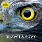 Dravci a sovy - 