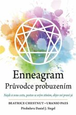 Enneagram - Průvodce probuzením - Chestnut Beatrice,Uranio Paes