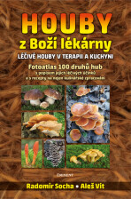 Houby z Boží lékárny - Léčivé houby v terapii a kuchyni - Radomír Socha,Vít Aleš