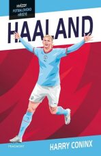 Hvězdy fotbalového hřiště Haaland - Harry Coninx