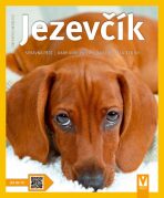 Jezevčík - Fiedelmeierová Leni