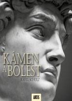 Kámen a bolest - Karel Schulz