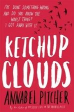 Ketchup Clouds - Annabel Pitcher