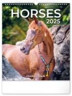 Kalendář 2025 nástěnný: Koně, 30 × 34 cm - 