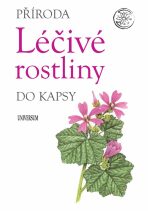 Léčivé rostliny - 