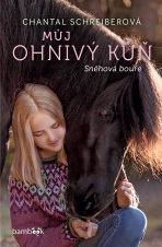 Můj ohnivý kůň – Sněhová bouře - Chantal Schreiberová