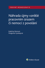 Náhrada újmy vzniklé pracovním úrazem či nemocí z povolání - autorů kolektiv