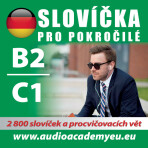 Němčina - slovíčka B2/C1 - 