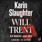 Nic nebude jako dřív - Karin Slaughter