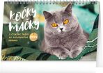 Stolní kalendář Kočky - Mačky CZ/SK 2025 - 