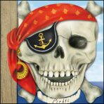 Poklad Kulhavého Jacka Piráti - Oldřich Růžička