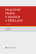 Pracovní právo v bodech s příklady - 6. vydání - Petr Hůrka,kolektiv autorů