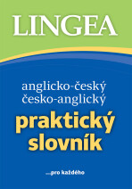 Praktický anglický slovník k maturitě - 