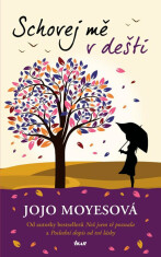 Schovej mě v dešti - Jojo Moyes