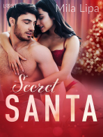 Secret Santa – Erotic Christmas Story - Mila Lipa