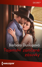 Tajemství zamčené zásuvky - Barbara Dunlopová