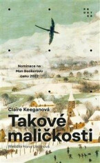 Takové maličkosti - Claire Keeganová