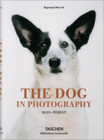 The Dog in Photography 1839–Today (Defekt) - Raymond Merritt