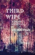 Third Wife (Defekt) - Jiří Klobouk