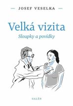 Velká vizita - Sloupky a povídky - Miloš Čermák,Josef Veselka
