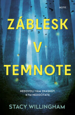 Záblesk v temnote - Stacy Willingham