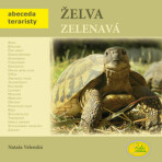 Želva zelenavá - Nataša Velenská