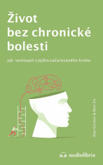 Život bez chronické bolesti - Gordon Alan,Alon Ziv