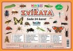 Zvířata hmyz - Sada 24 karet - 