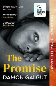 The Promise (Defekt) - Damon Galgut