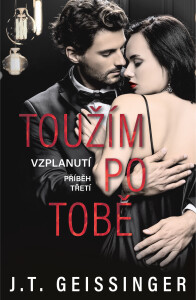 Toužím po tobě J. T. Geissinger