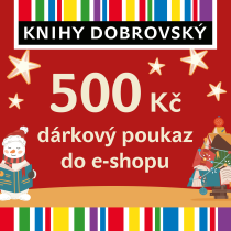 Vánoční e-shopová dárková poukázka 500 Kč - 