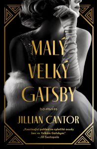 Malý velký Gatsby (Defekt) - Jillian Cantor