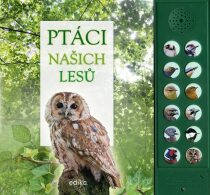 Ptáci našich lesů - Andrea Pinningtonová, ...