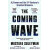 The Coming Wave