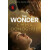 The Wonder