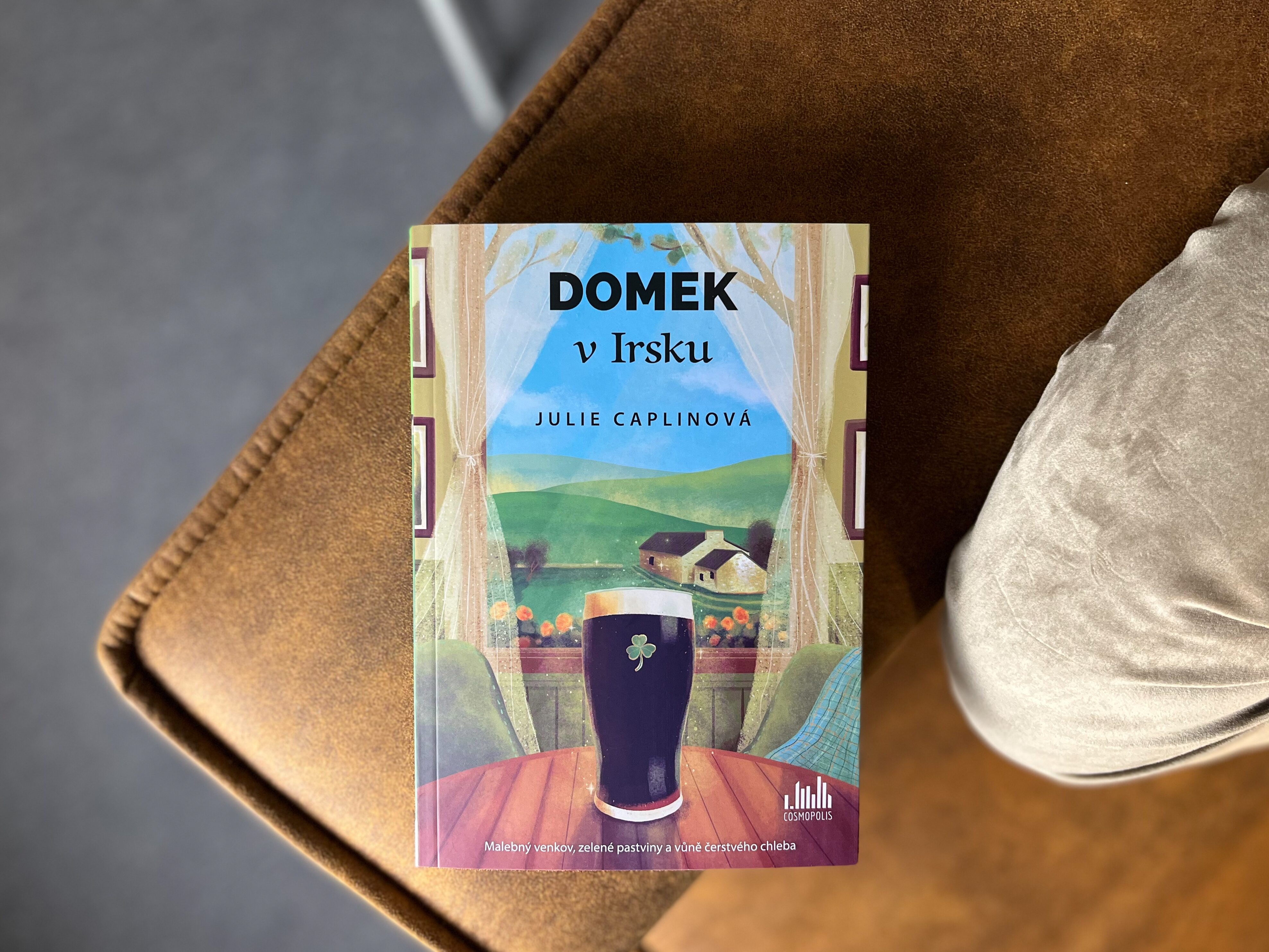 Domek v Irsku